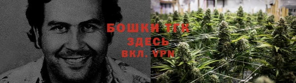 крисы Горно-Алтайск