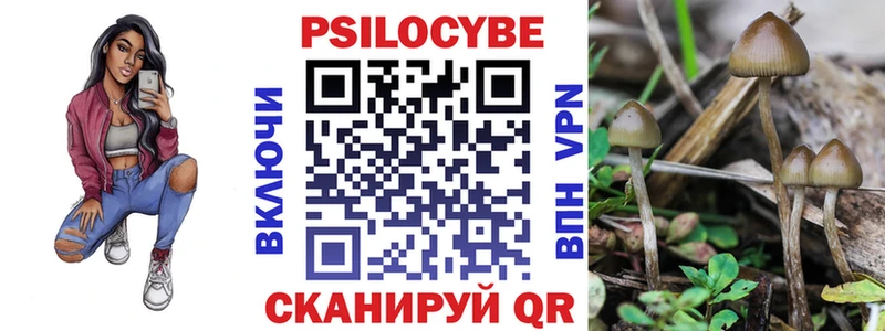 Купить закладки  Катайск  Галлюциногенные грибы мицелий 
