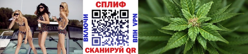Купить где  Катайск  МАРИХУАНА сатива 